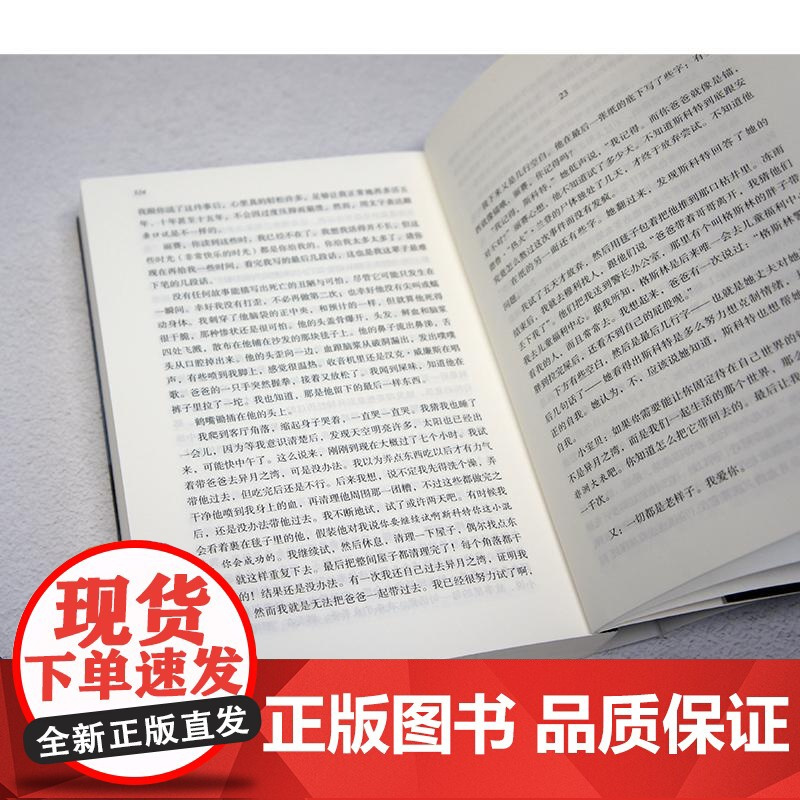 丽赛的故事 (美)斯蒂芬·金 著 陈宗琛,彭临桂 译 外国科幻,侦探小说 文学 人民文学出版社
