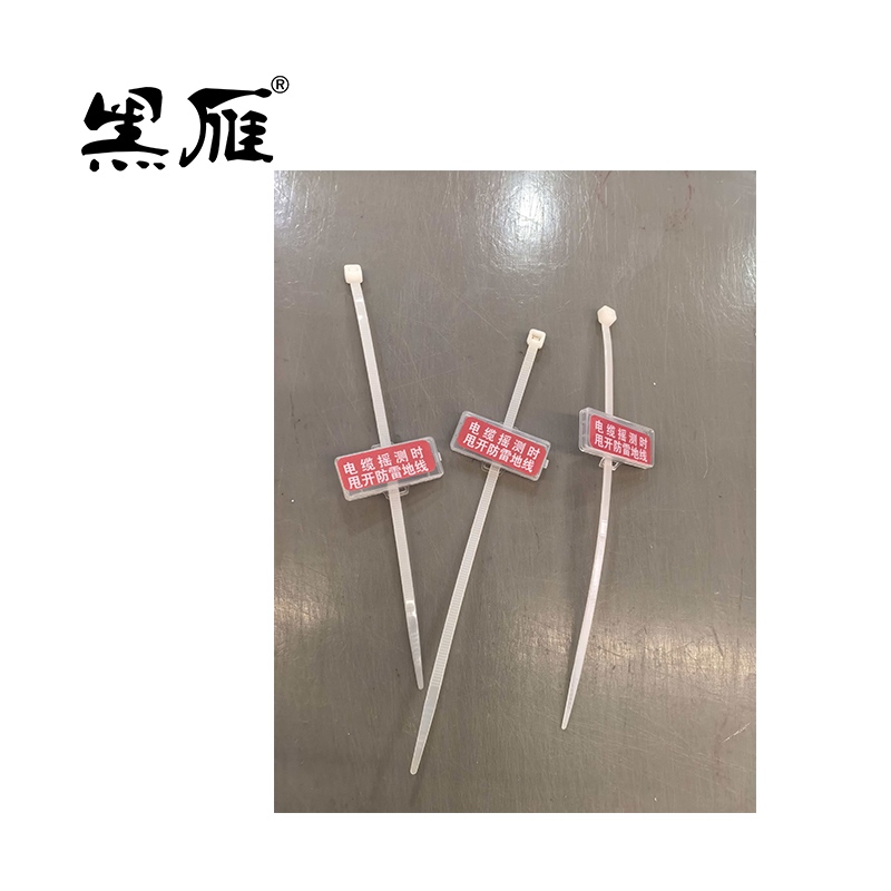 黑雁 铭牌定制(含数线盒) 40X15mm(100个/套) 套高清大图