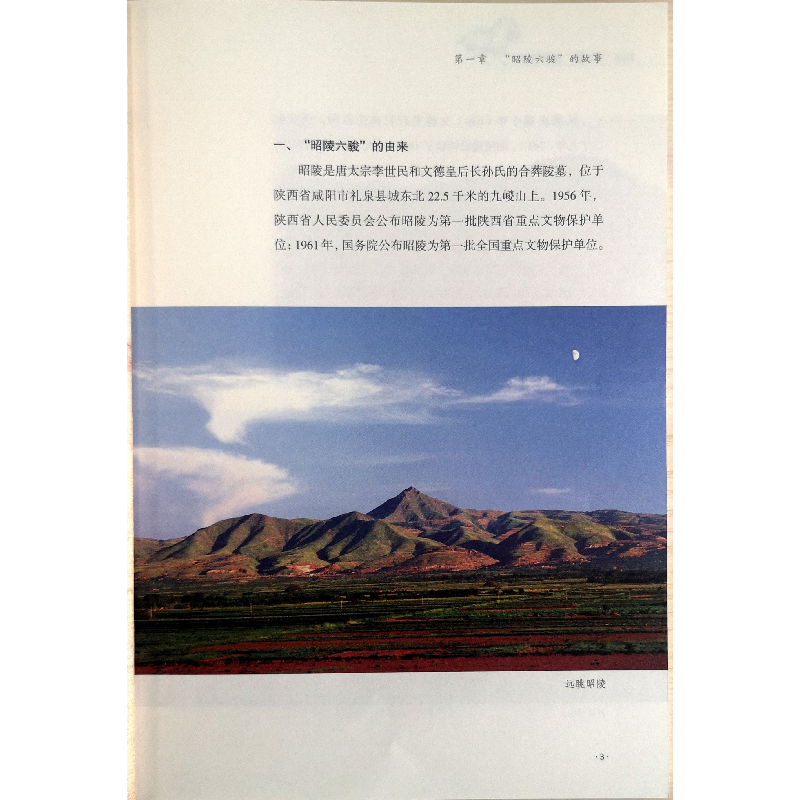 诺森昭陵二骏修复实录周萍编著9787536836891陕西人民美术出版社高清大图