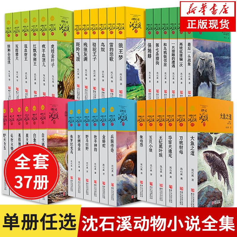 一只猎雕的遭遇 [正版]沈石溪动物小说品藏书系列全集36册 斑羚飞渡第七条猎狗后一头战象雪豹悲歌珍藏版全套画本生肖高清大图