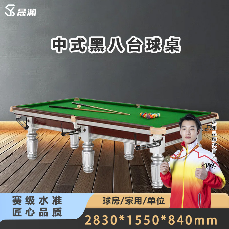 晟渊 台球桌标准比赛专用桌球台标准型 YH8Q
