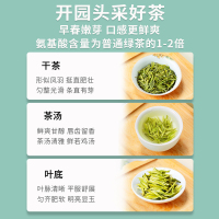 2022新茶上市麓雨天目湖白茶 明前特级溧阳白茶头采江苏常州特产小袋包装绿茶茶叶48克(16袋)