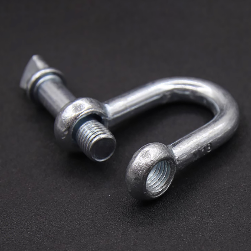 顺心捷 D型卸扣 M22 个高清大图