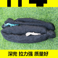 鼎立(DINGLI)鸟捕鸟防鸟户外鸟沾果园鸟户外尼龙鸟捕捉鸟野鸡套鸟 输入颜色名称8米长4米高（胶丝画眉网）