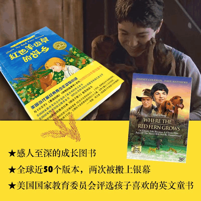 [M]红色羊齿草的故乡-9787513334594图片