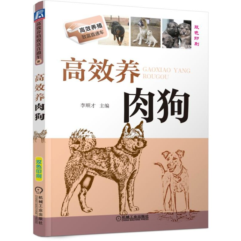 醉染图书高效养肉狗9787111526742高清大图