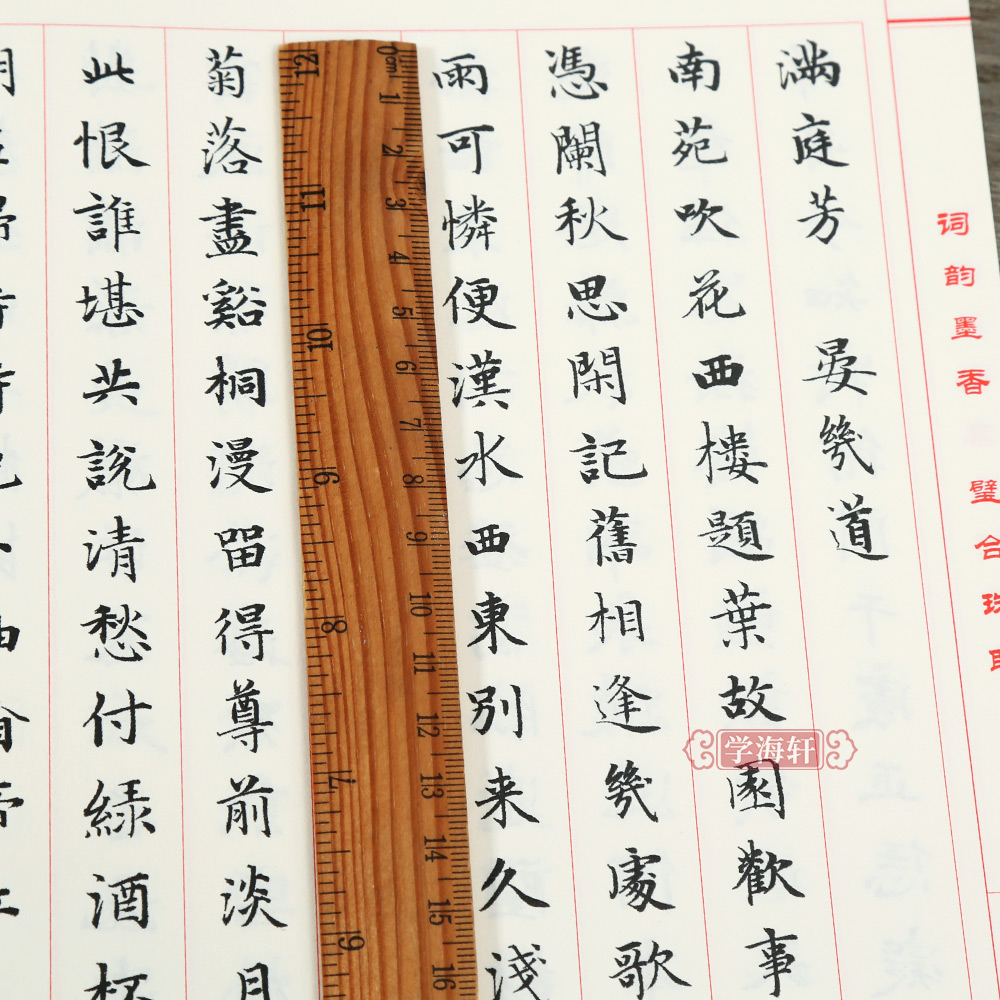 [正版]赵体小楷集宋词百首 王定远主编 北京体育大学出版社 中国元代法帖楷书 书籍赵孟頫楷书毛笔字帖赵孟俯高清大图