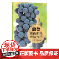 葡萄避雨限根栽培技术 29568 李勃,李秀杰,韩真,赵红军 阳光玫瑰 夏黑 巨秀