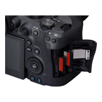 佳能(Canon)EOS R6 Mark II R6二代 新标准全画幅微单数码相机 单机身 (约40张每秒连拍/6K超采样4K短片)R6 2代 海外版