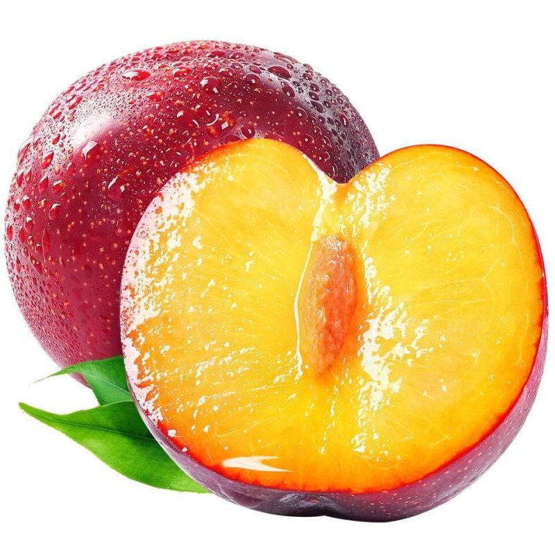 新鲜黑布林李子带箱5斤应季水果010