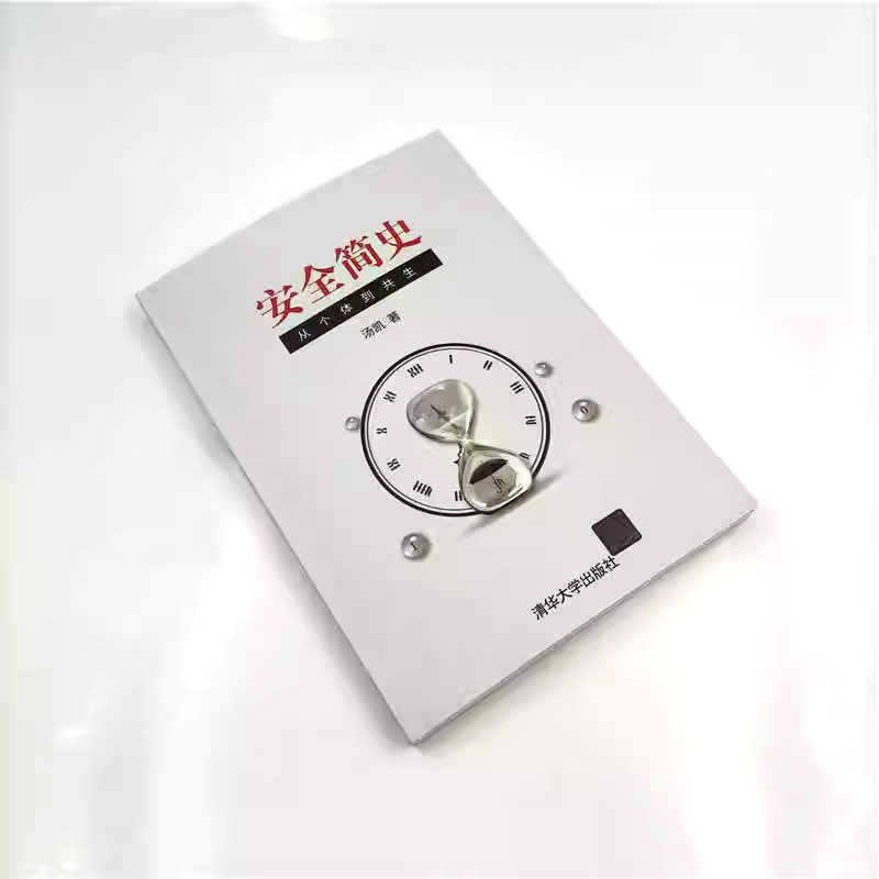 [正版]安全简史 从个体到共生 汤凯著 管理理论生产与运作管理书籍高清大图
