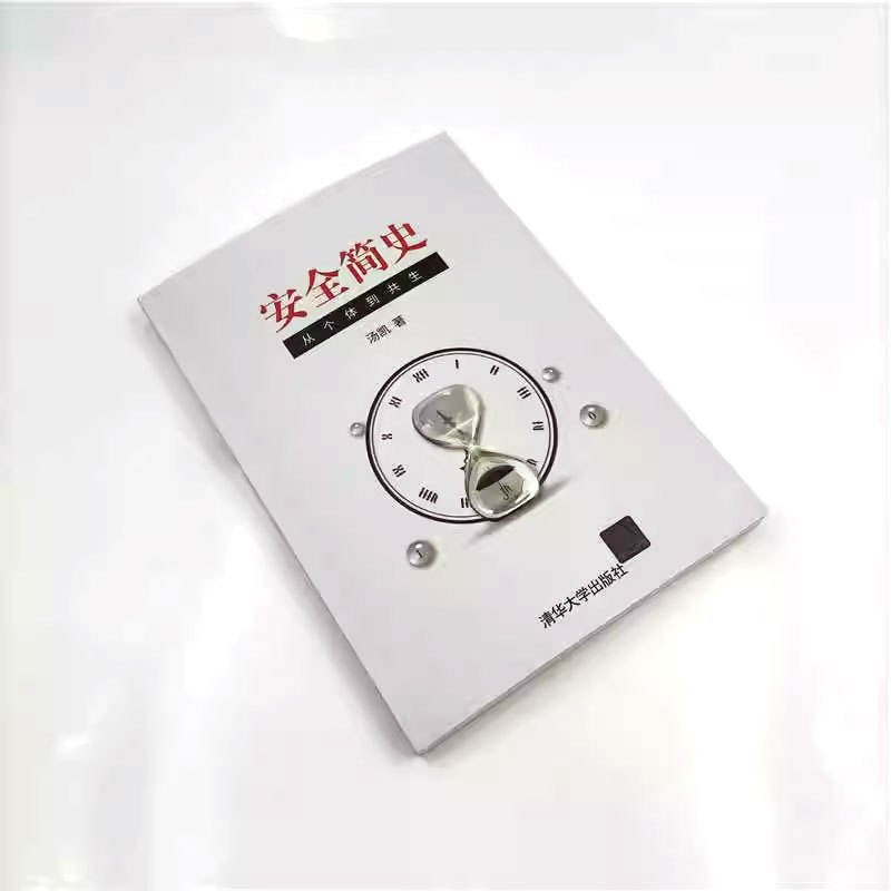 [正版]安全简史 从个体到共生 汤凯著 管理理论生产与运作管理书籍