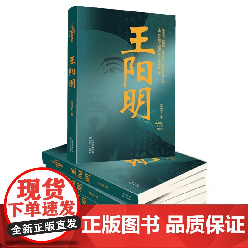 王阳明 高兴宇 著 小说高清大图