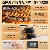 海尔消毒柜ZQD115F-EC010嵌入式115L两层大容量消毒柜 消毒碗柜 母婴消毒柜家用紫外线光波巴氏纯物理消毒