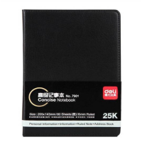 得力 皮壳笔记本 大 28cm*20cm SQ