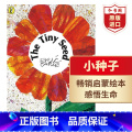【正版】小种子 英文原版 The Tiny Seed Carle 卡尔爷爷启蒙绘本 感知生命成长 吴敏兰书单 搭纸板时