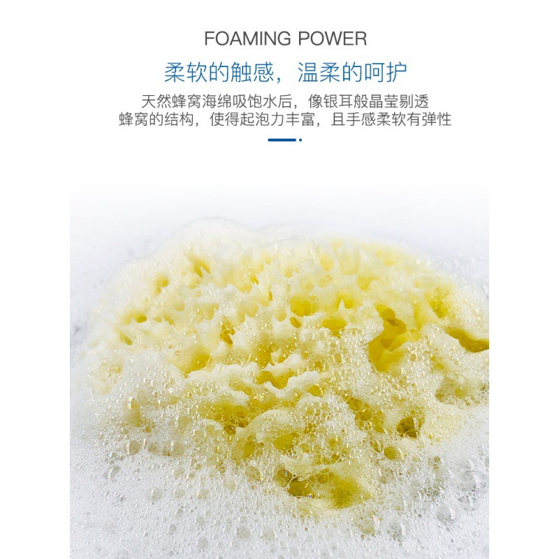 希腊天然海绵婴儿洗澡沐浴棉宝宝浴球儿童搓澡巾洗脸蜂窝海绵 三维工匠高清大图
