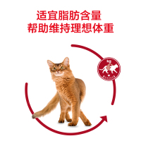 皇家(ROYAL CANIN)猫粮 营养成猫粮 F32/2KG