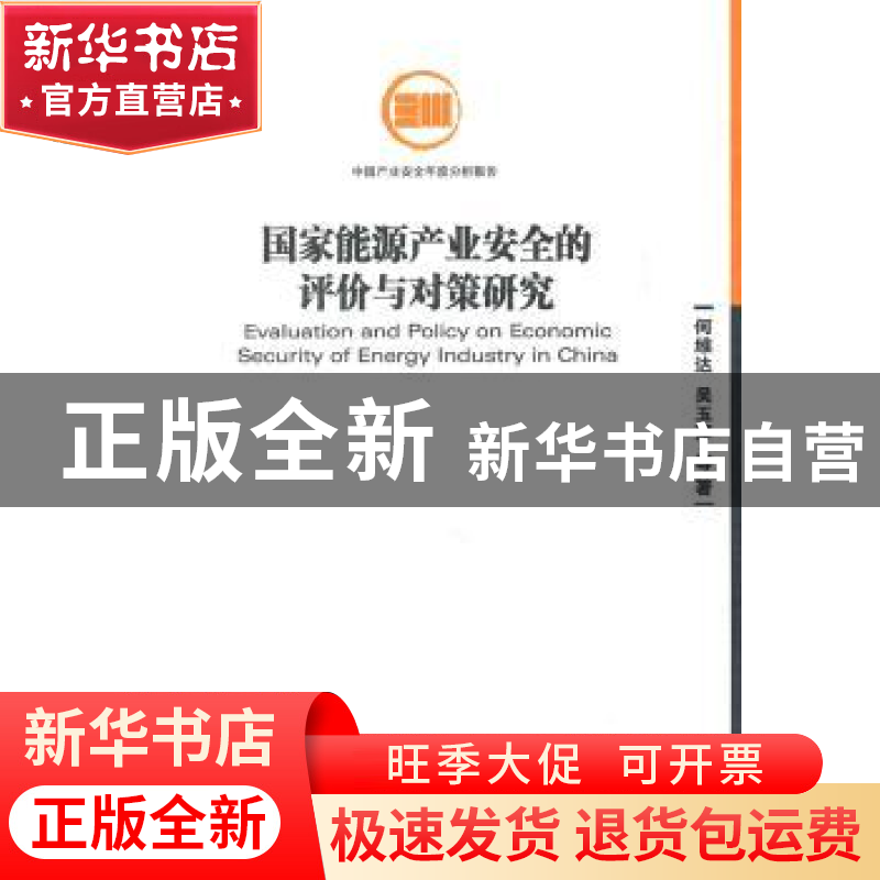 正版 国家能源产业安全的评价与对策研究 何维达,吴玉萍等著 经