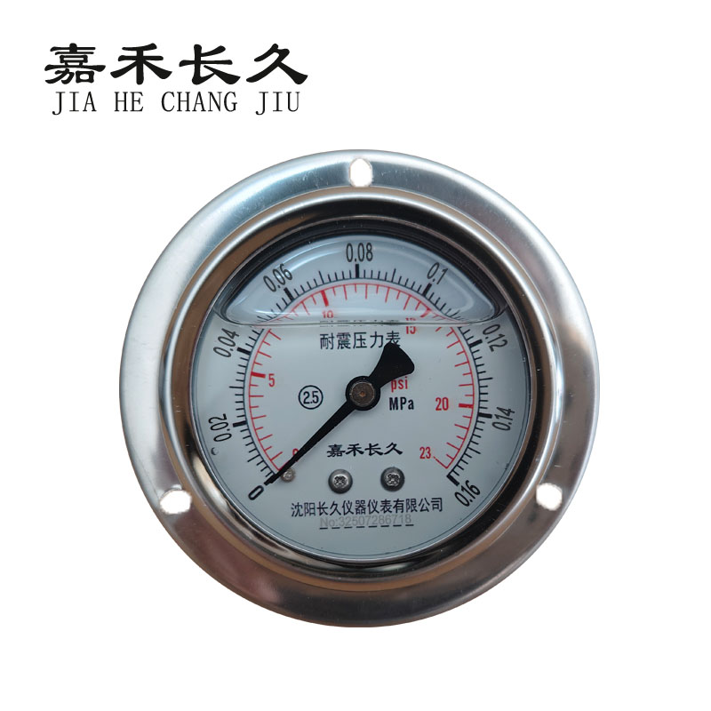 嘉禾长久 耐震压力表轴向带边检测型 YTN60ZT 块高清大图