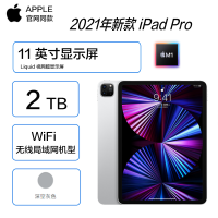 2021年新品 苹果 Apple iPad Pro 11英寸平板电脑 2TB WLAN版 银色 M1芯片 MHR33 海外版