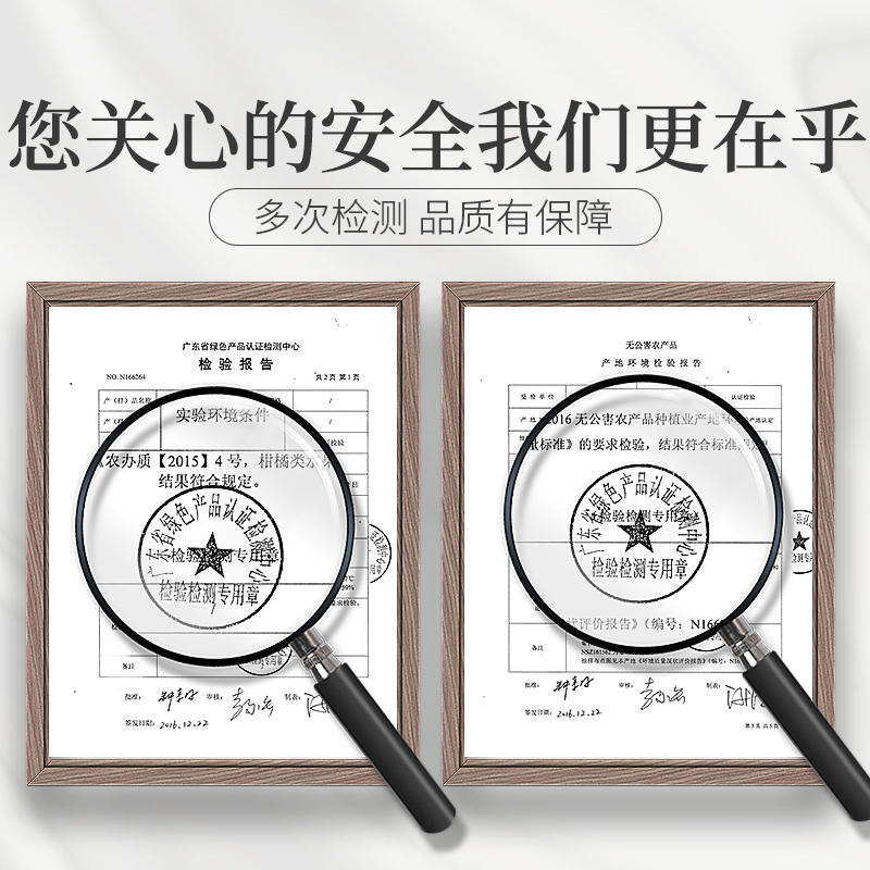 庄民 陈皮 橘皮 正宗新会老陈皮干茶 茶叶花草茶60g*2罐