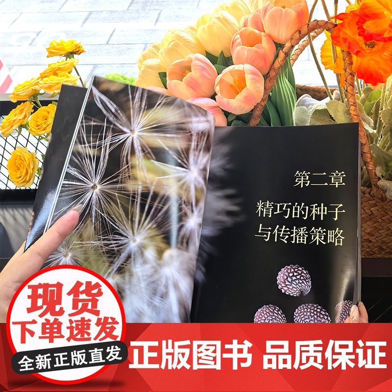 探秘种子 显微镜下的奇妙世界 微观种子 显微镜观察种子 奇特种子 青少年植物科普书籍 种子科普 青少年大自然显微镜观察科高清大图