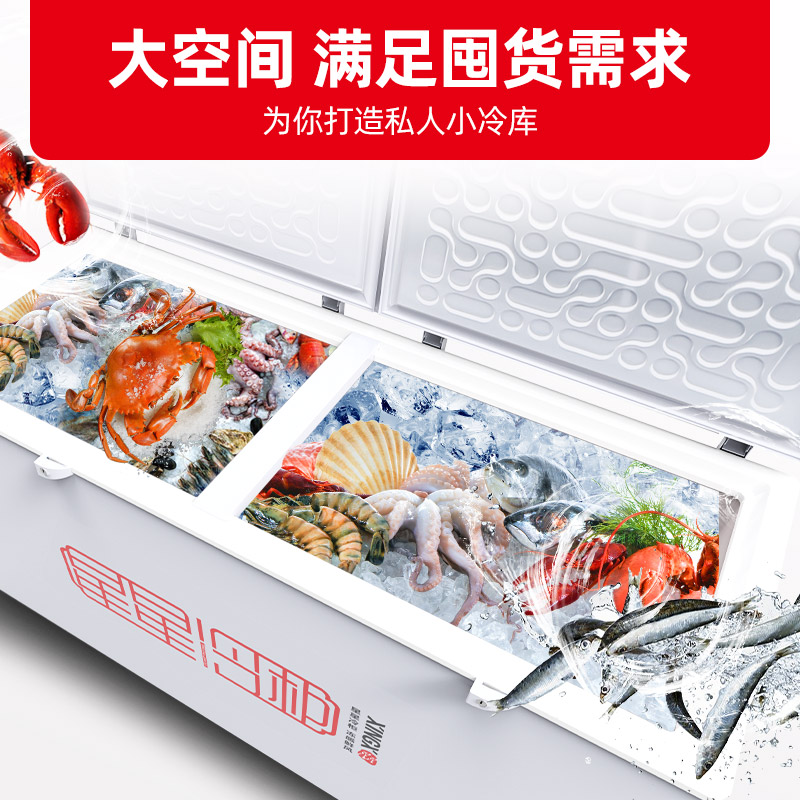 星星(XINGX) 601升 商用冷柜 冷藏冷冻转换柜 大容量冷柜 顶开门 商用大柜 BD/BC-628GE高清大图