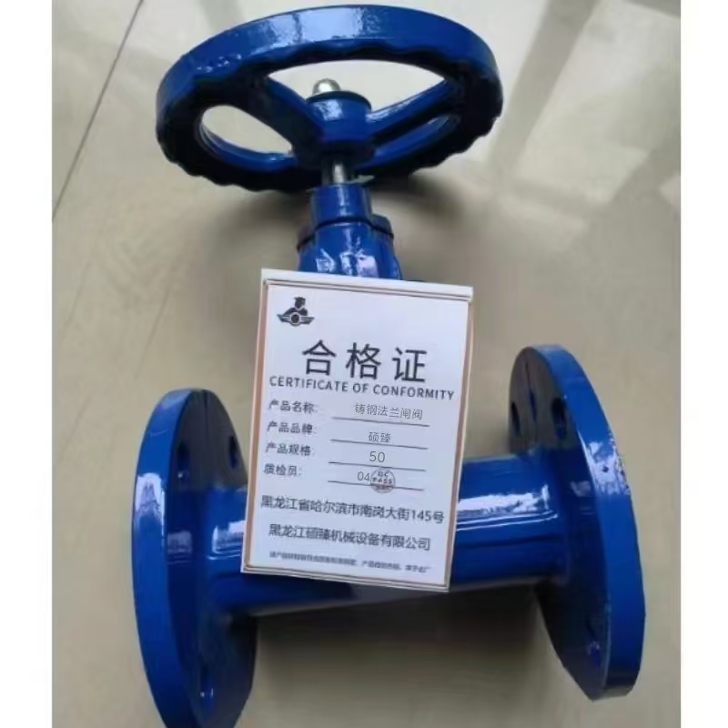 硕臻 铸钢法截止阀 50 个高清大图