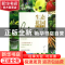 正版 统计学 朱喜安主编 湖北科学技术出版社 9787535263254 书籍
