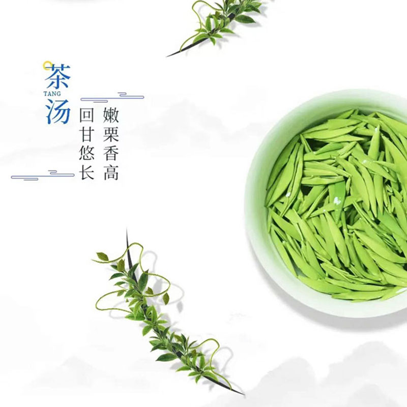 知茶茶叶雀舌绿茶罐装625g罐早春明前嫩芽绿茶高清大图