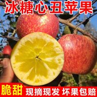 大凉山丑苹果四川盐源冰糖心脆甜3斤/5斤/9斤当季水果新鲜红富士整箱装