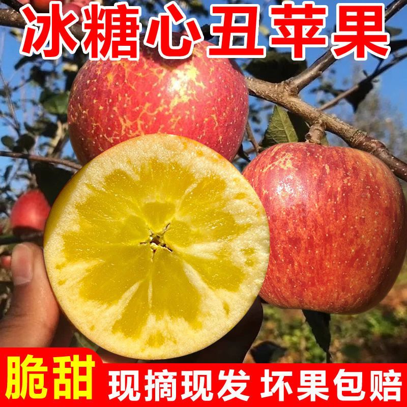 大凉山丑苹果四川盐源冰糖心脆甜3斤/5斤/9斤当季水果新鲜红富士整箱装