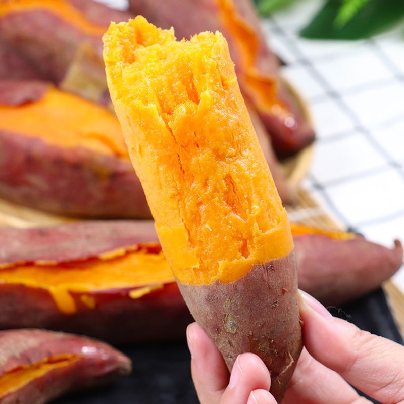 现挖红薯广西巴马糖心地瓜板栗番薯新鲜沙地蜜薯大果