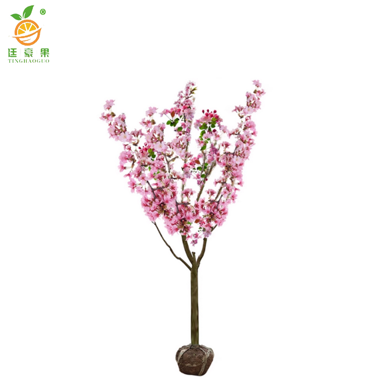 廷豪果 海棠树 胸径7cm /棵高清大图