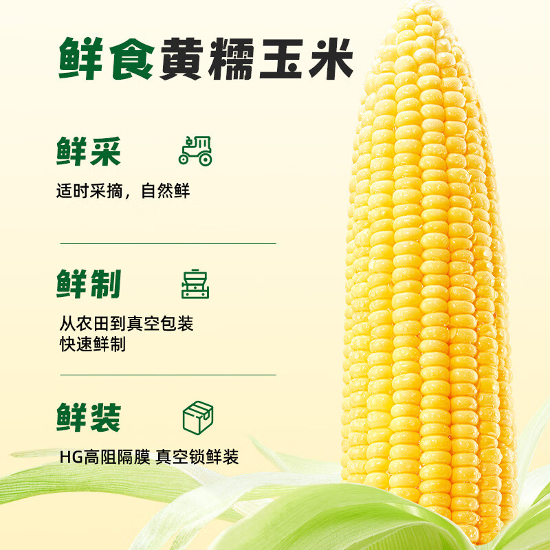 十月稻田玉米鲜食黄糯玉米东北黏甜玉米2.2kg