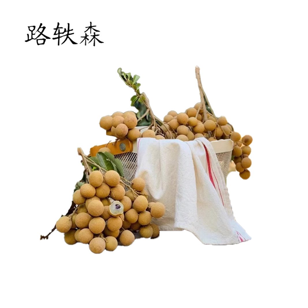 路轶森 龙眼树高 1.5-2.5m 棵高清大图