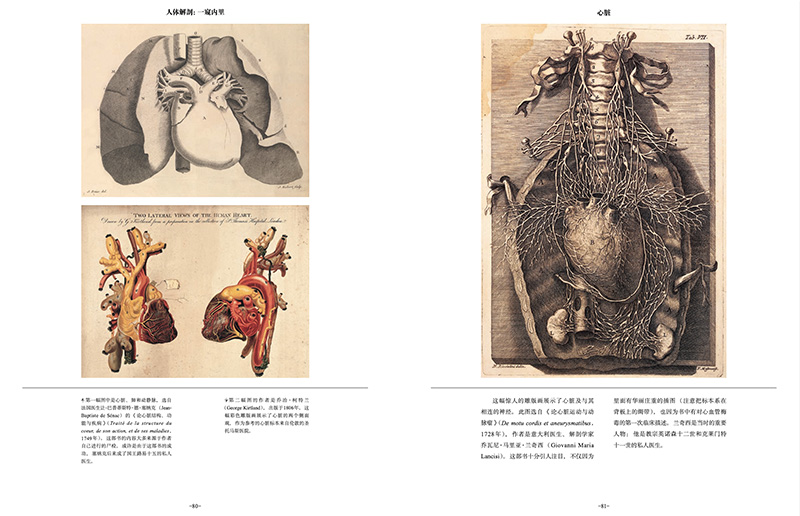 [正版]解剖之美 14世纪以来的人体解剖图鉴 医学解剖史 250幅人体解剖彩绘 人体艺术 人体解剖艺术作品 病态美学高清大图