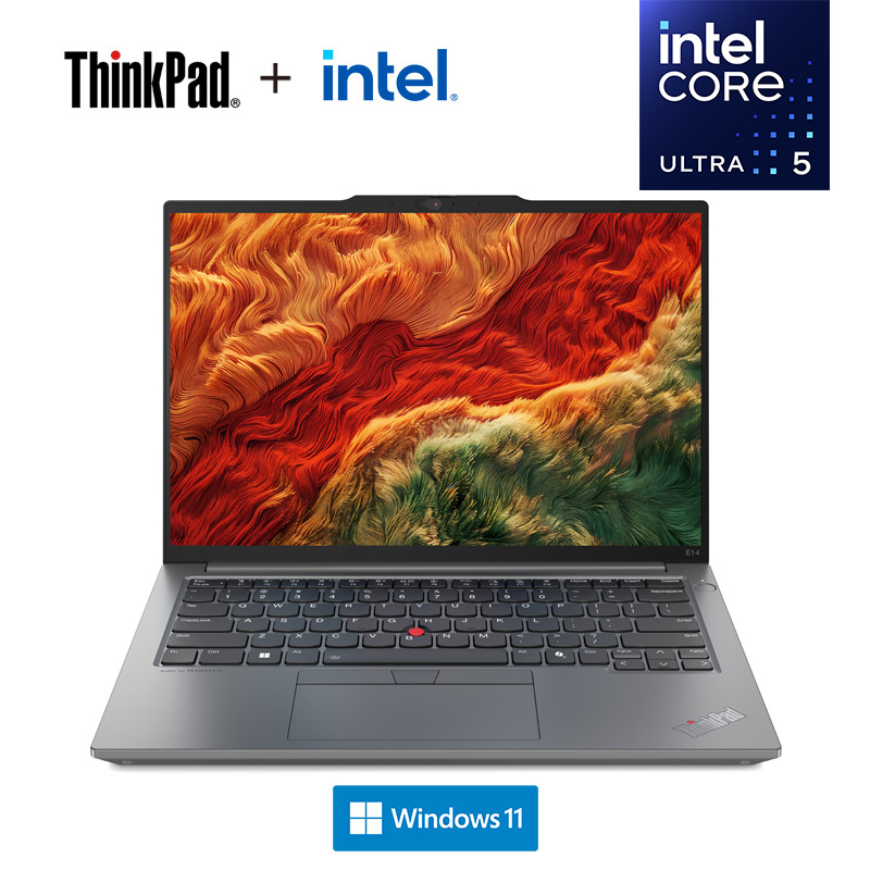 ThinkPad E14 19CD AI 2024 经典商务本 14英寸笔记本电脑 定制 英特尔酷睿Ultra 5 125H 64G 1T固态 锐炫Arc显卡 2.2K高色域 银