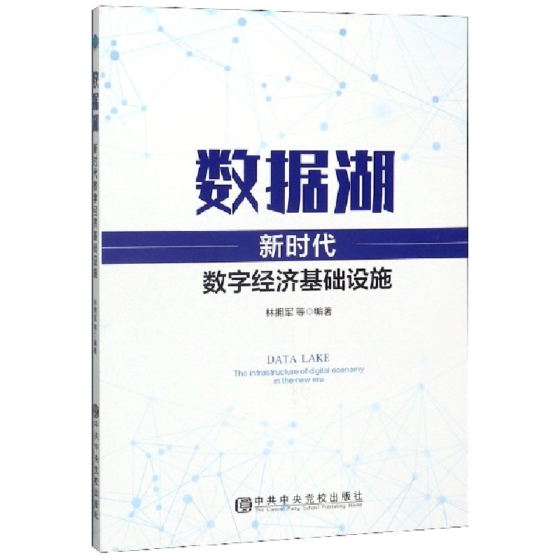 音像数据湖(新时代数字经济基础设施)编者:林拥军