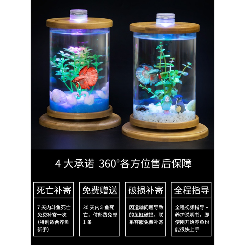 鱼缸创意桌面小型透明玻璃斗鱼缸迷你精致懒人造景家用生态瓶高清大图