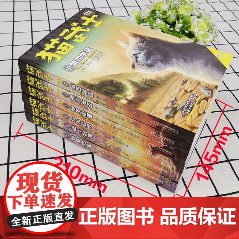 全6册猫武士四部曲星预言新译本第四学徒群星之战中小学生课外书8-12岁三年级课外读四五年级阅读儿童书10-15岁儿童励志高清大图