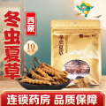 慧远天宝 冬虫夏草10克/袋西藏冬虫夏草