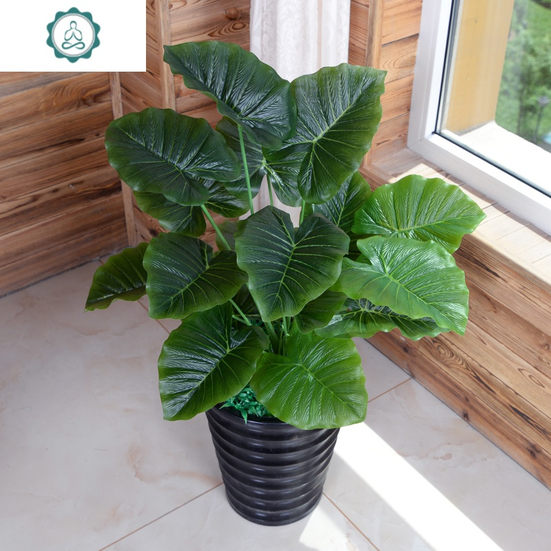 假树滴水观音仿真植物树绿植大型盆栽客厅办公室内假花落地装饰花封后