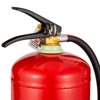 神龙 灭火器 干粉灭火器8公斤 车载家用及商用灭火器8kg MFZ/ABC8