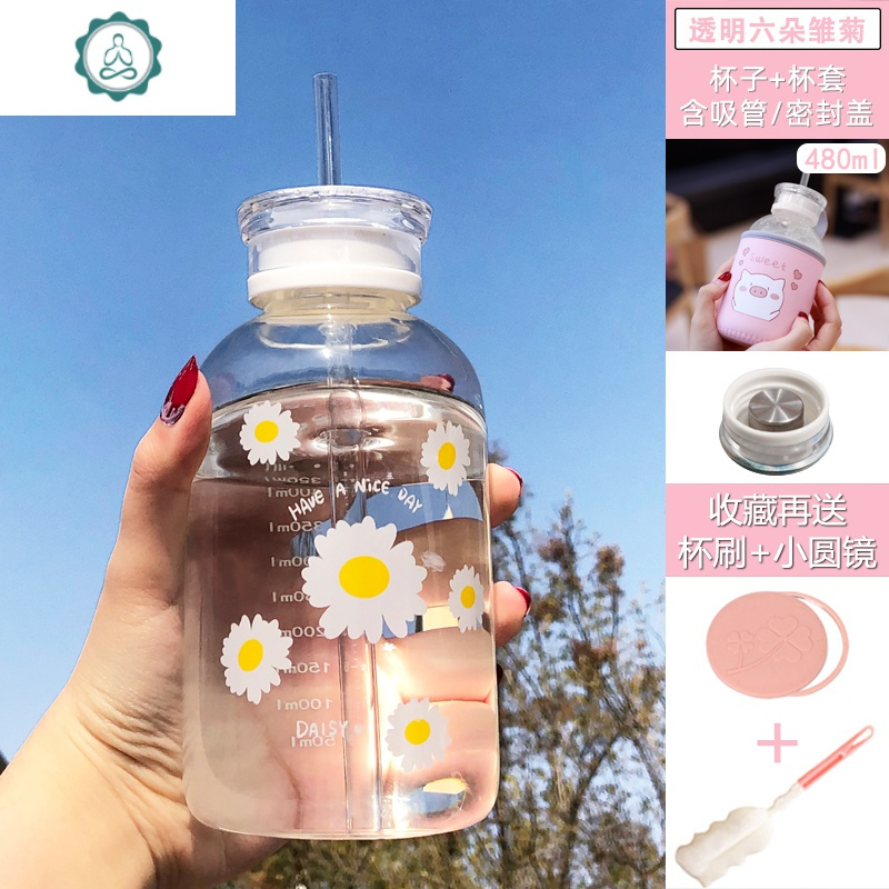 耐热玻璃杯女磨砂水杯韩版可爱便携夏天吸管杯子创意潮流男生水瓶 封后 透明六朵雏菊(裸杯)+小圆镜+杯刷