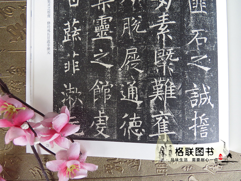 [正版]唐褚遂良倪宽赞孟法师碑历代碑帖精粹薛元明编附译文附技法解析楷书毛笔书法练字帖成人学生临摹碑帖安徽美术出版社高清大图