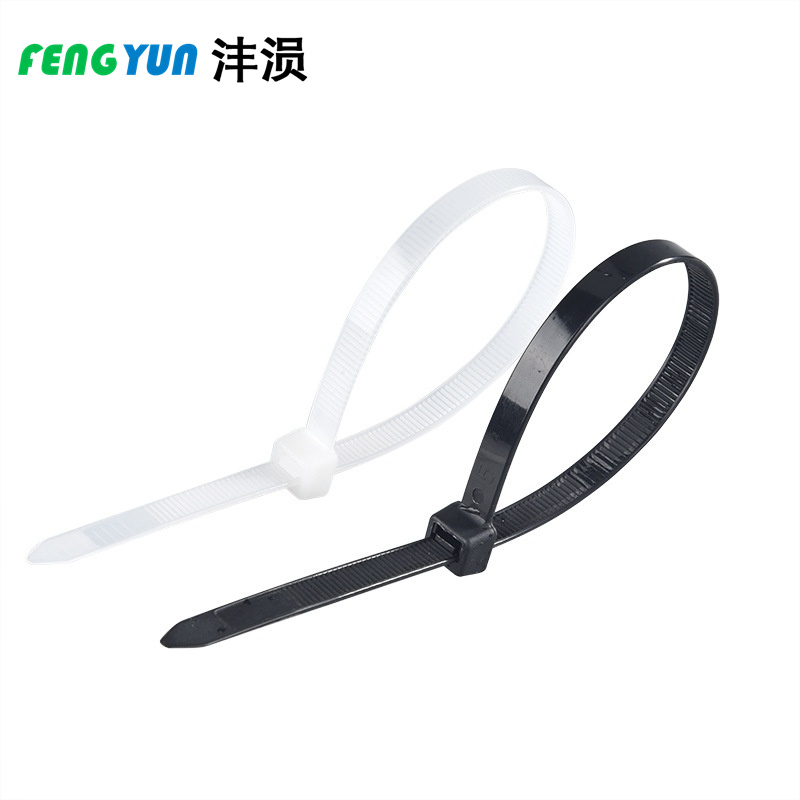 沣涢 尼龙扎带 10*500mm 根高清大图