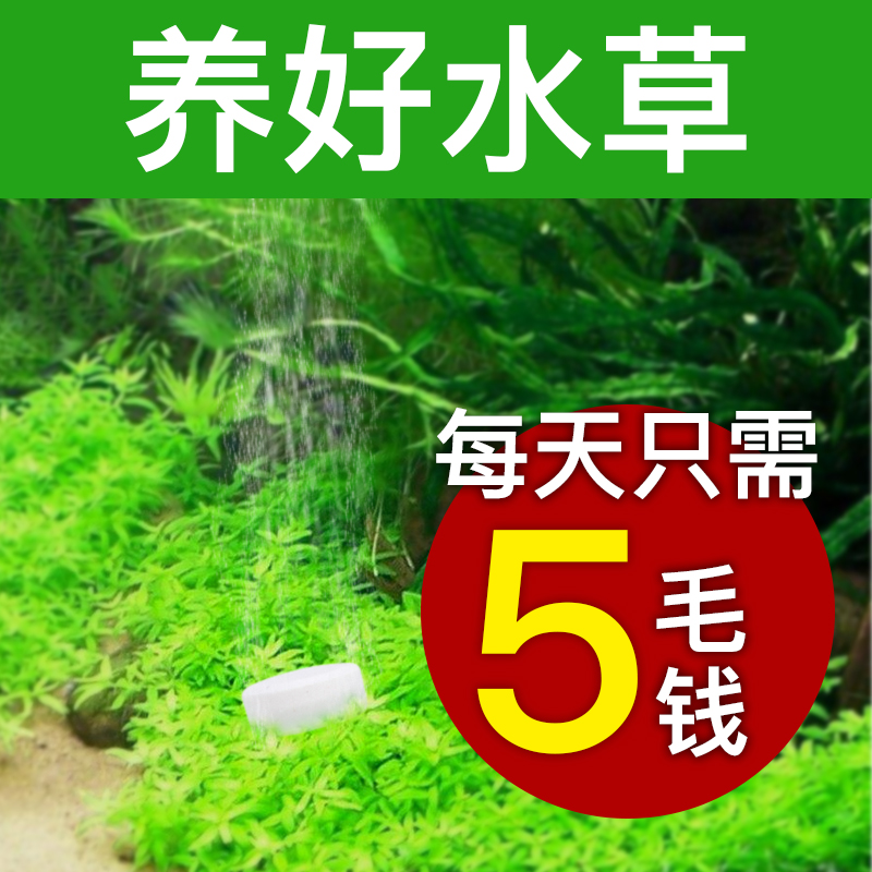 鱼缸水二氧化碳发生器爆藻自制发生器二氧化碳片水族用品高清大图