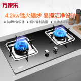 万家乐燃气灶家用煤气灶 4.2KW大火力 黑晶面板 钢化玻璃 台嵌两用 双灶 液化气JZY-DQZ01B